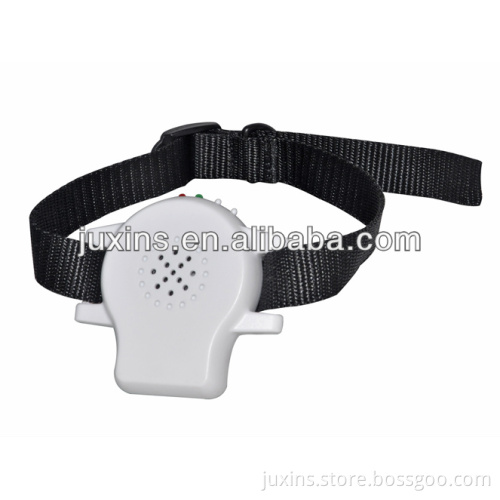 IS-PET800 dog agility training equipment
